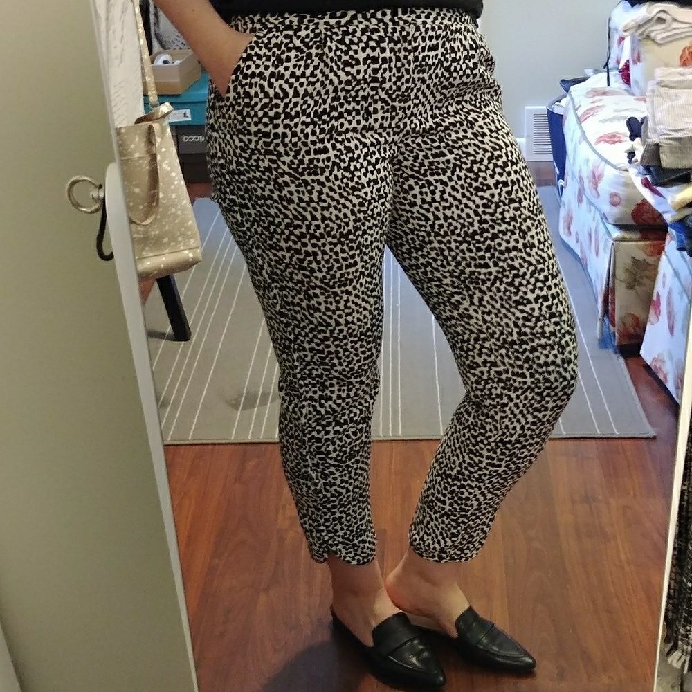 Banana Republic Pant